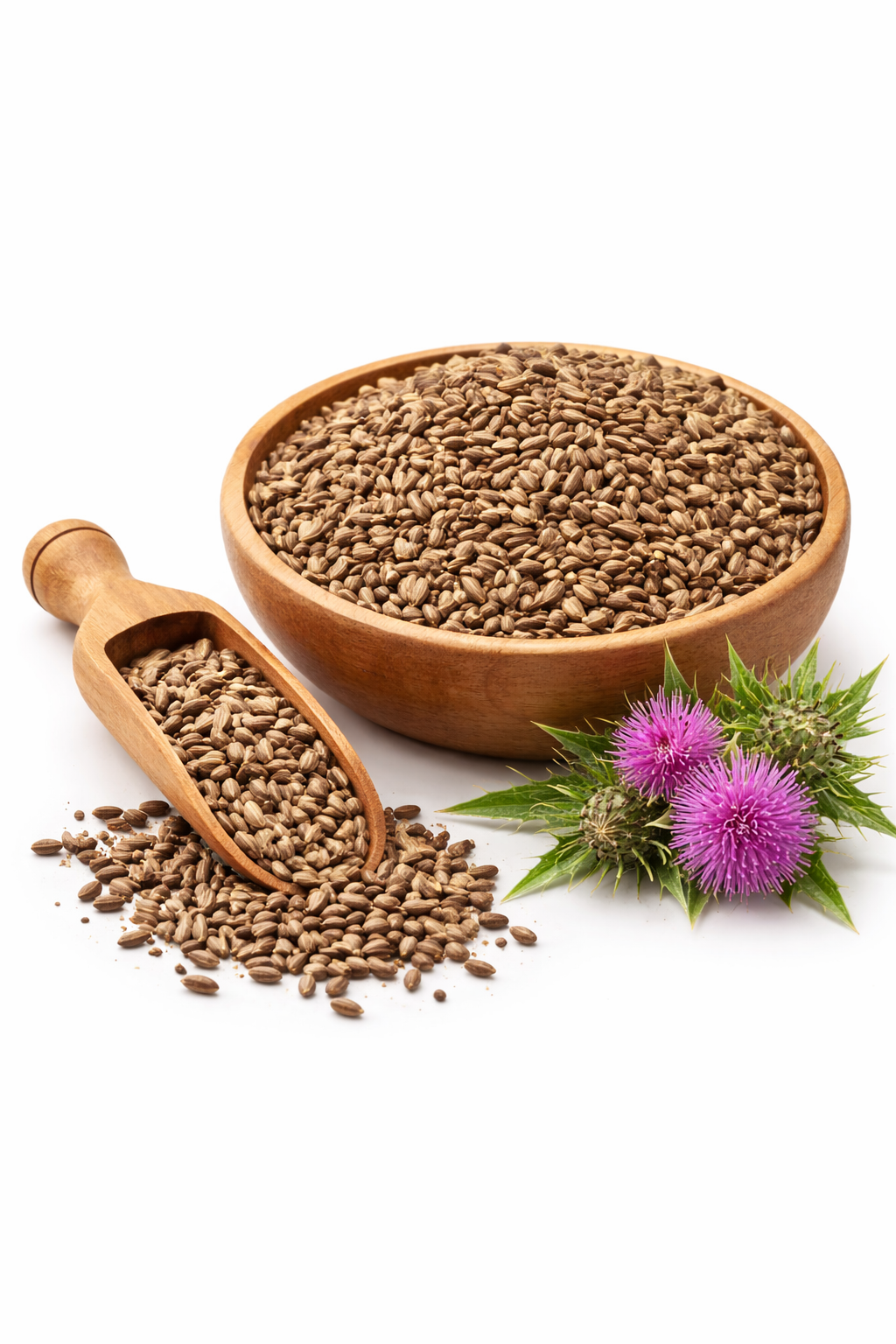 Chardon Marie Graine Graines de Chardon Marie